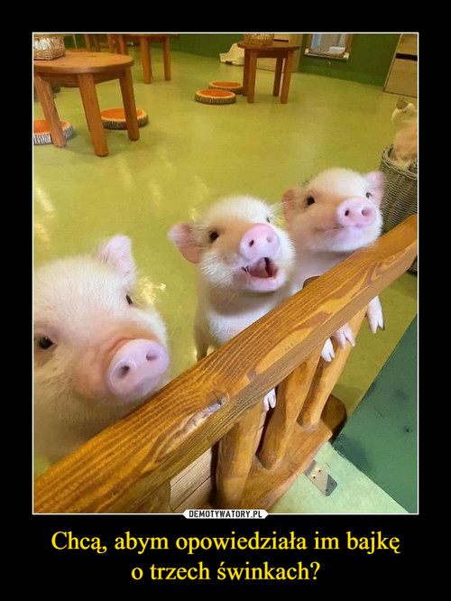 Chcą, abym opowiedziała im bajkę
o trzech świnkach?
