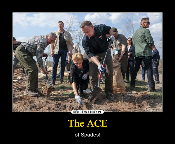 The ACE – of Spades! 