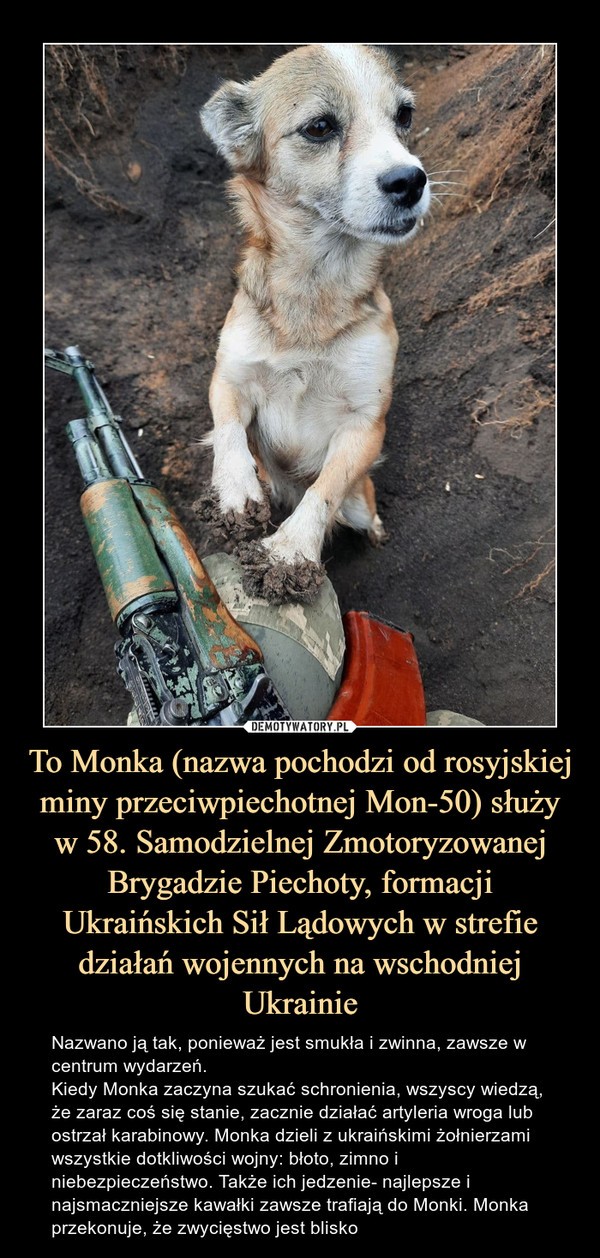To Monka (nazwa pochodzi od rosyjskiej miny przeciwpiechotnej Mon-50) służy w 58. Samodzielnej Zmotoryzowanej Brygadzie Piechoty, formacji Ukraińskich Sił Lądowych w strefie działań wojennych na wschodniej Ukrainie – Nazwano ją tak, ponieważ jest smukła i zwinna, zawsze w centrum wydarzeń.Kiedy Monka zaczyna szukać schronienia, wszyscy wiedzą, że zaraz coś się stanie, zacznie działać artyleria wroga lub ostrzał karabinowy. Monka dzieli z ukraińskimi żołnierzami wszystkie dotkliwości wojny: błoto, zimno i niebezpieczeństwo. Także ich jedzenie- najlepsze i najsmaczniejsze kawałki zawsze trafiają do Monki. Monka przekonuje, że zwycięstwo jest blisko 