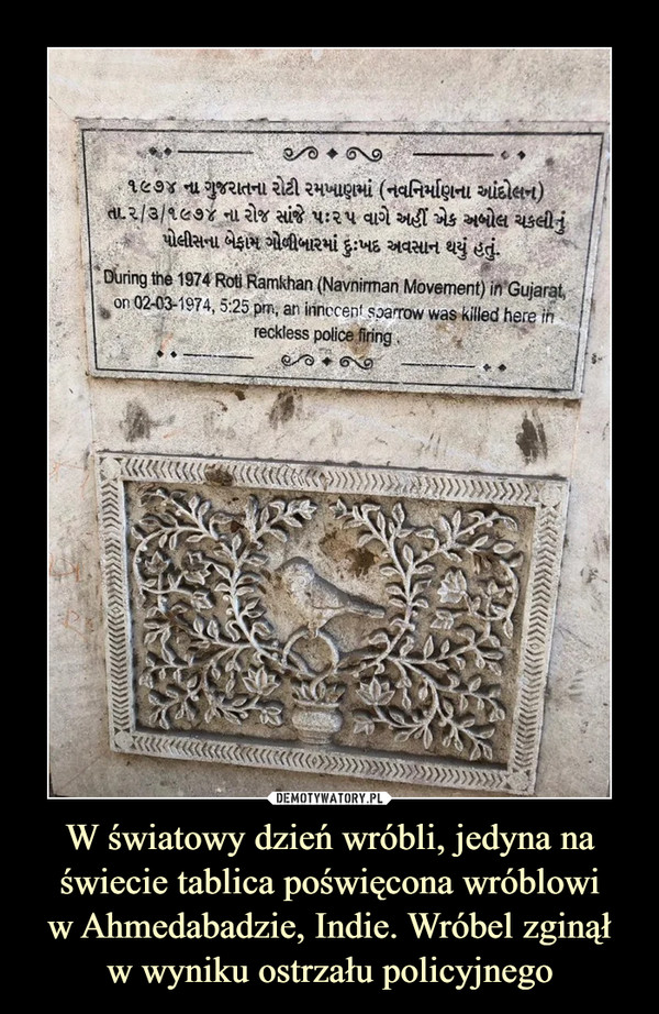 W światowy dzień wróbli, jedyna na świecie tablica poświęcona wróblowiw Ahmedabadzie, Indie. Wróbel zginąłw wyniku ostrzału policyjnego –  