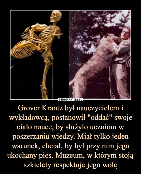 Grover Krantz był nauczycielem i wykładowcą, postanowił "oddać" swoje ciało nauce, by służyło uczniom w poszerzaniu wiedzy. Miał tylko jeden warunek, chciał, by był przy nim jego ukochany pies. Muzeum, w którym stoją szkielety respektuje jego wolę –  