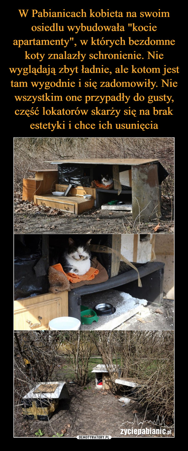 W Pabianicach kobieta na swoim osiedlu wybudowała "kocie apartamenty", w których bezdomne koty znalazły schronienie. Nie wyglądają zbyt ładnie, ale kotom jest tam wygodnie i się zadomowiły. Nie wszystkim one przypadły do gusty, część lokatorów skarży się na brak estetyki i chce ich usunięcia