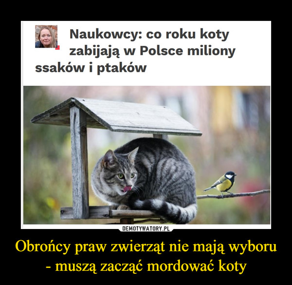 Obrońcy praw zwierząt nie mają wyboru - muszą zacząć mordować koty –  Naukowcy: co roku kotyzabijają w Polsce milionyssaków i ptaków