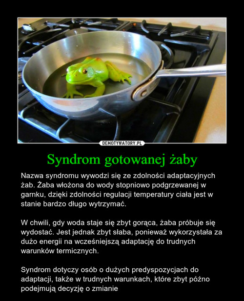 Syndrom gotowanej żaby