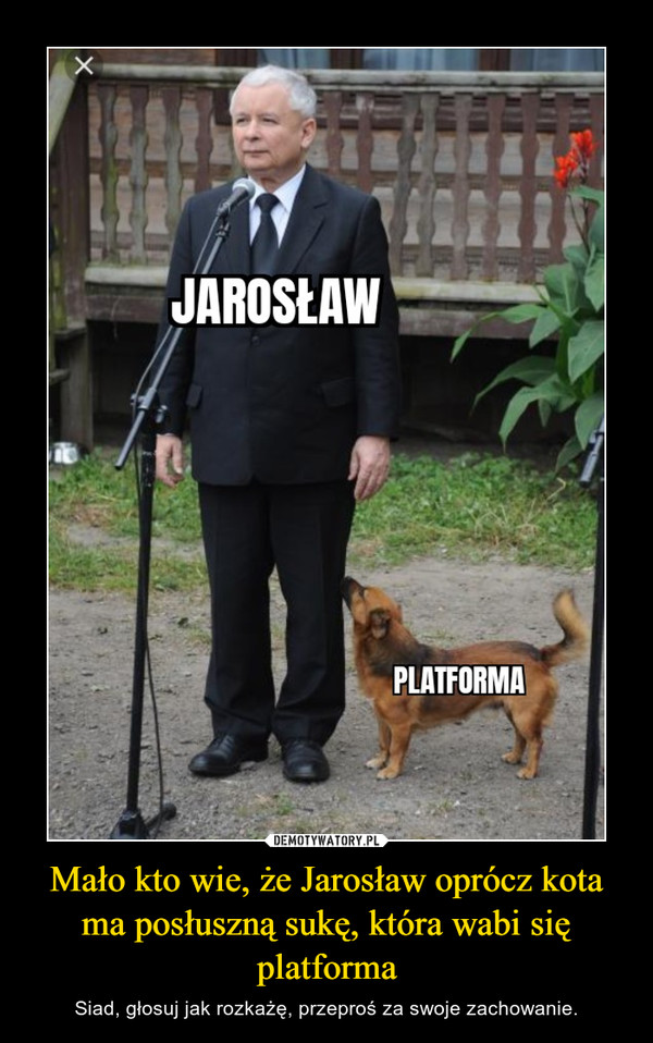 Mało kto wie, że Jarosław oprócz kota ma posłuszną sukę, która wabi się platforma