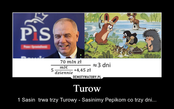 Turow – 1 Sasin  trwa trzy Turowy - Sasinimy Pepikom co trzy dni... 