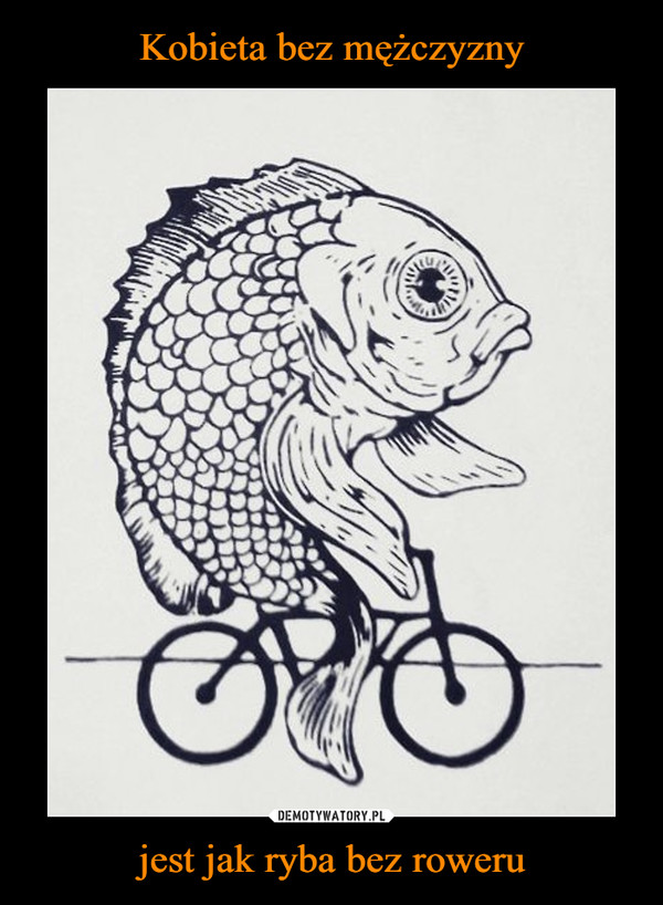 jest jak ryba bez roweru –  