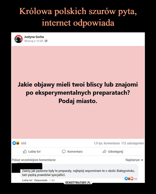 Królowa polskich szurów pyta, internet odpowiada