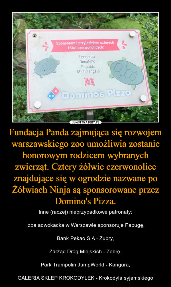 Fundacja Panda zajmująca się rozwojem warszawskiego zoo umożliwia zostanie honorowym rodzicem wybranych zwierząt. Cztery żółwie czerwonolice znajdujące się w ogrodzie nazwane po Żółwiach Ninja są sponsorowane przez Domino's Pizza.