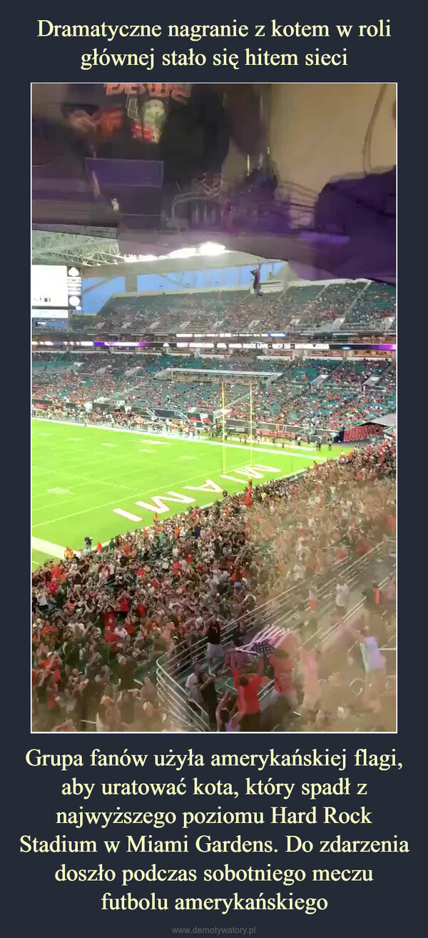 Grupa fanów użyła amerykańskiej flagi, aby uratować kota, który spadł z najwyższego poziomu Hard Rock Stadium w Miami Gardens. Do zdarzenia doszło podczas sobotniego meczu futbolu amerykańskiego –  