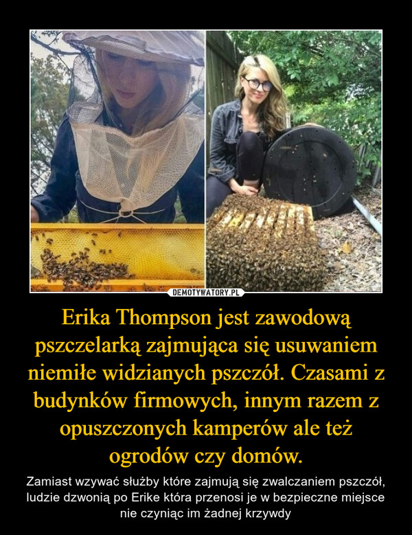Erika Thompson jest zawodową pszczelarką zajmująca się usuwaniem niemiłe widzianych pszczół. Czasami z budynków firmowych, innym razem z opuszczonych kamperów ale też ogrodów czy domów. – Zamiast wzywać służby które zajmują się zwalczaniem pszczół, ludzie dzwonią po Erike która przenosi je w bezpieczne miejsce nie czyniąc im żadnej krzywdy 
