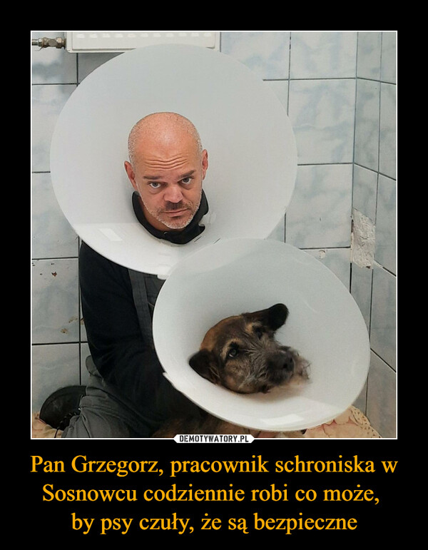 Pan Grzegorz, pracownik schroniska w Sosnowcu codziennie robi co może, 
by psy czuły, że są bezpieczne