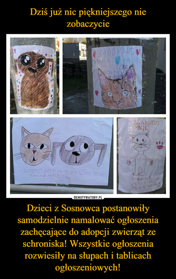 Dzieci z Sosnowca postanowiły samodzielnie namalować ogłoszenia zachęcające do adopcji zwierząt ze schroniska! Wszystkie ogłoszenia rozwiesiły na słupach i tablicach ogłoszeniowych! –  
