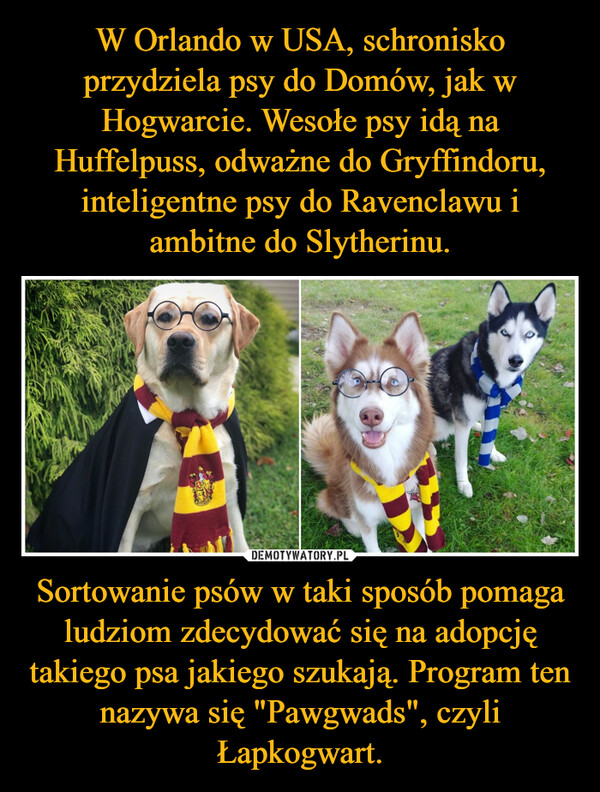 Sortowanie psów w taki sposób pomaga ludziom zdecydować się na adopcję takiego psa jakiego szukają. Program ten nazywa się "Pawgwads", czyli Łapkogwart. –  
