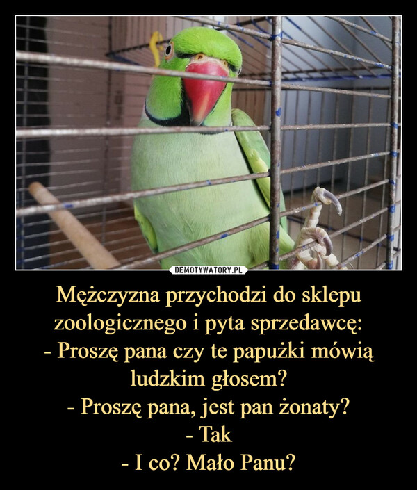 Mężczyzna przychodzi do sklepu zoologicznego i pyta sprzedawcę:- Proszę pana czy te papużki mówią ludzkim głosem?- Proszę pana, jest pan żonaty?- Tak- I co? Mało Panu? –  