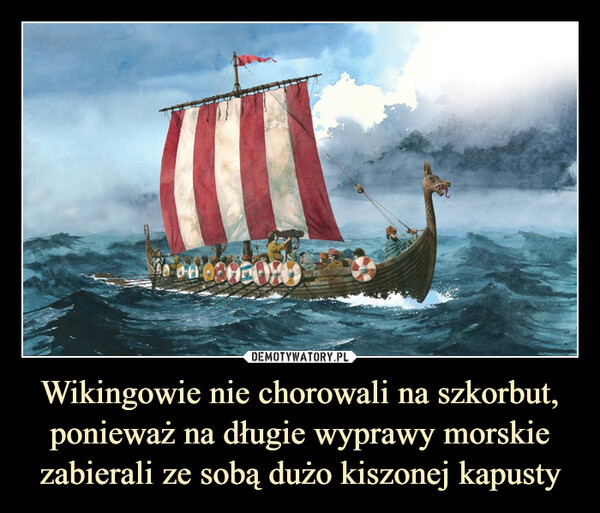 Wikingowie nie chorowali na szkorbut, ponieważ na długie wyprawy morskie zabierali ze sobą dużo kiszonej kapusty –  