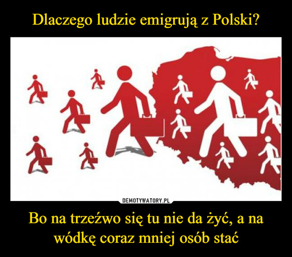 Dlaczego ludzie emigrują z Polski? Bo na trzeźwo się tu nie da żyć, a na wódkę coraz mniej osób stać