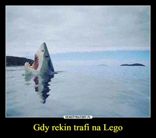 Gdy rekin trafi na Lego –  