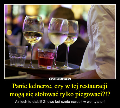Panie kelnerze, czy w tej restauracji mogą się stołować tylko piegowaci?!?
