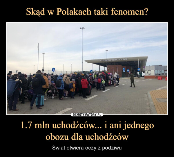 Skąd w Polakach taki fenomen? 1.7 mln uchodźców... i ani jednego obozu dla uchodźców