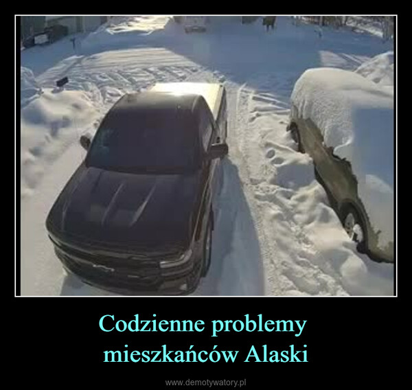 Codzienne problemy mieszkańców Alaski –  