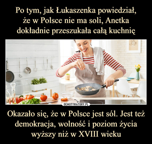 Po tym, jak Łukaszenka powiedział,
że w Polsce nie ma soli, Anetka dokładnie przeszukała całą kuchnię Okazało się, że w Polsce jest sól. Jest też demokracja, wolność i poziom życia wyższy niż w XVIII wieku