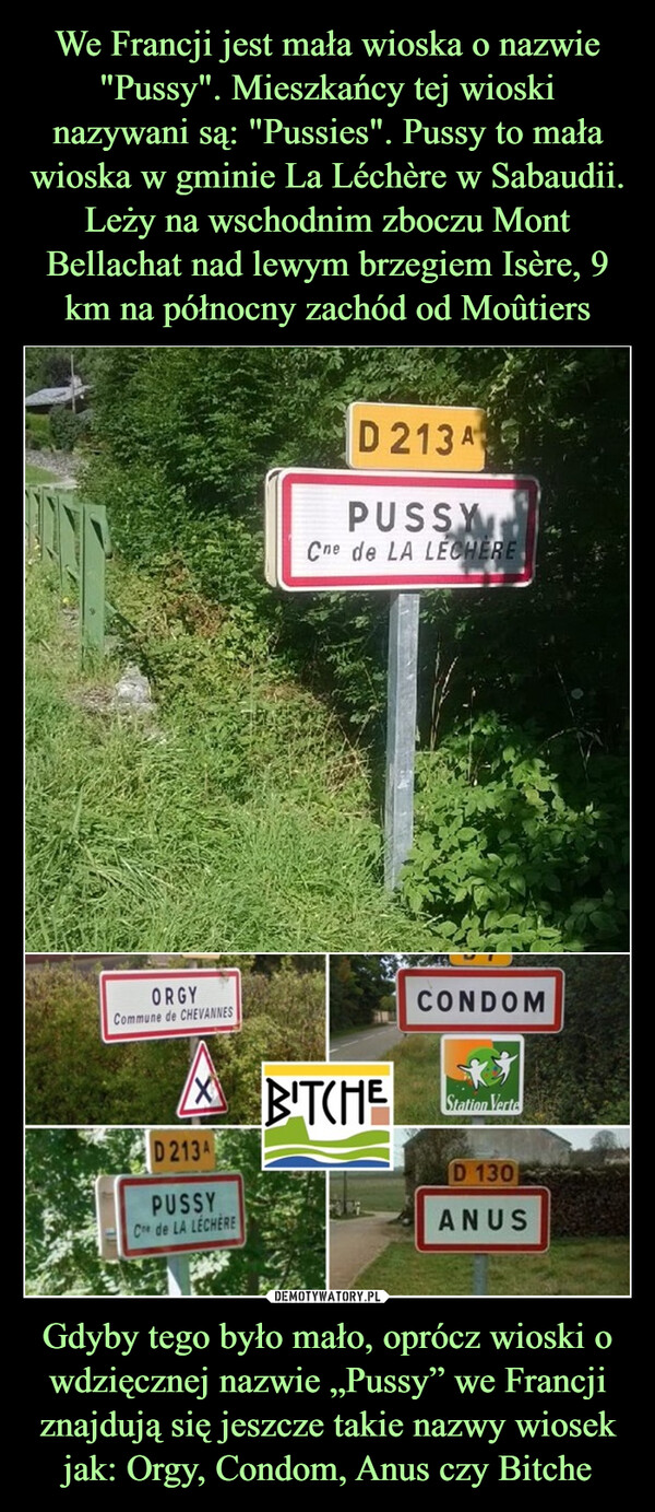 We Francji jest mała wioska o nazwie "Pussy". Mieszkańcy tej wioski nazywani są: "Pussies". Pussy to mała wioska w gminie La Léchère w Sabaudii. Leży na wschodnim zboczu Mont Bellachat nad lewym brzegiem Isère, 9 km na północny zachód od Moûtiers Gdyby tego było mało, oprócz wioski o wdzięcznej nazwie „Pussy” we Francji znajdują się jeszcze takie nazwy wiosek jak: Orgy, Condom, Anus czy Bitche