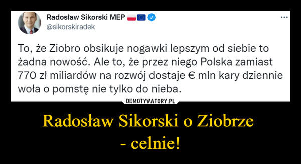 Radosław Sikorski o Ziobrze - celnie! –  Radosław Sikorski МЕР _И@sikorskiradekTo, że Ziobro obsikuje nogawki lepszym od siebie tożadna nowość. Ale to, że przez niego Polska zamiast770 zł miliardów na rozwój dostaje € min kary dzienniewoła o pomstę nie tylko do nieba.