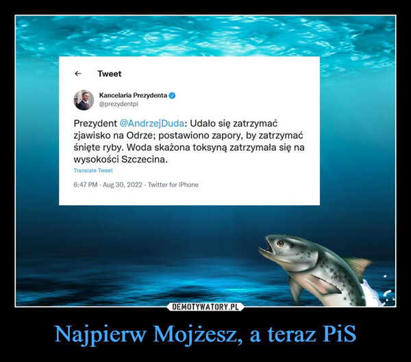 Najpierw Mojżesz, a teraz PiS –  Kancelaria Preiydenta O©prerydentplPrezydent @AndrzejDuda: Udało się zatrzymaćzjawisko na Odrze; postawiono zapory, by zatrzymaćśnięte ryby. Woda skażona toksyną zatrzymała się nawysokości Szczecina.