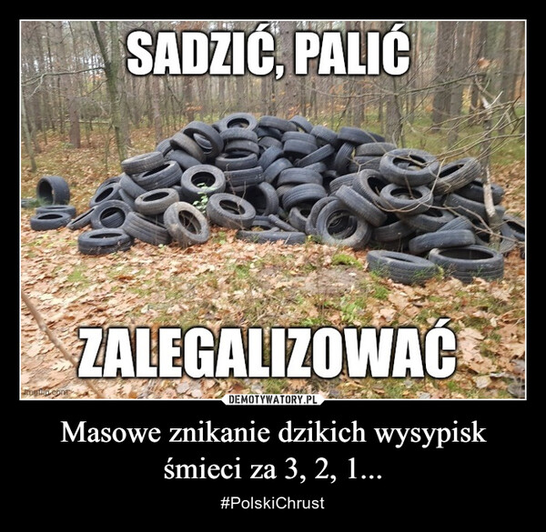 Masowe znikanie dzikich wysypisk śmieci za 3, 2, 1... – #PolskiChrust 