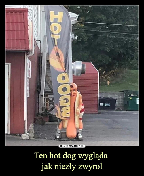 Ten hot dog wygląda 
jak niezły zwyrol