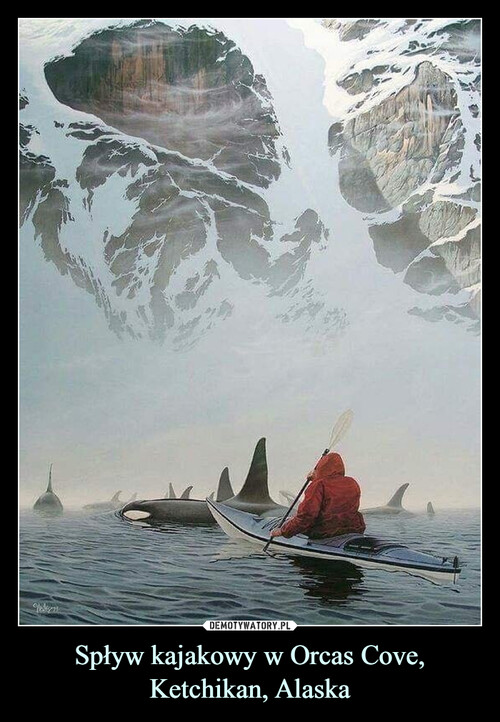 Spływ kajakowy w Orcas Cove, Ketchikan, Alaska