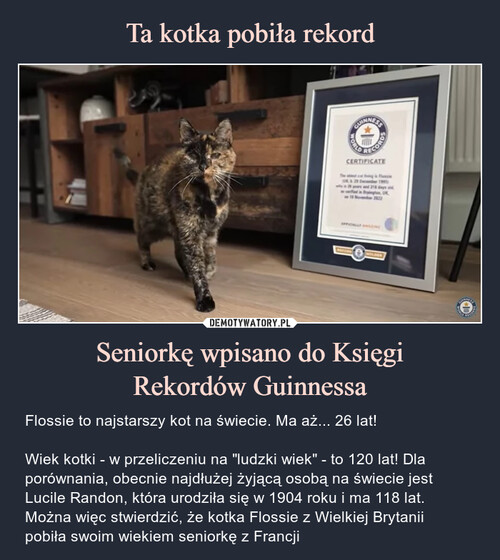 Ta kotka pobiła rekord Seniorkę wpisano do Księgi
Rekordów Guinnessa