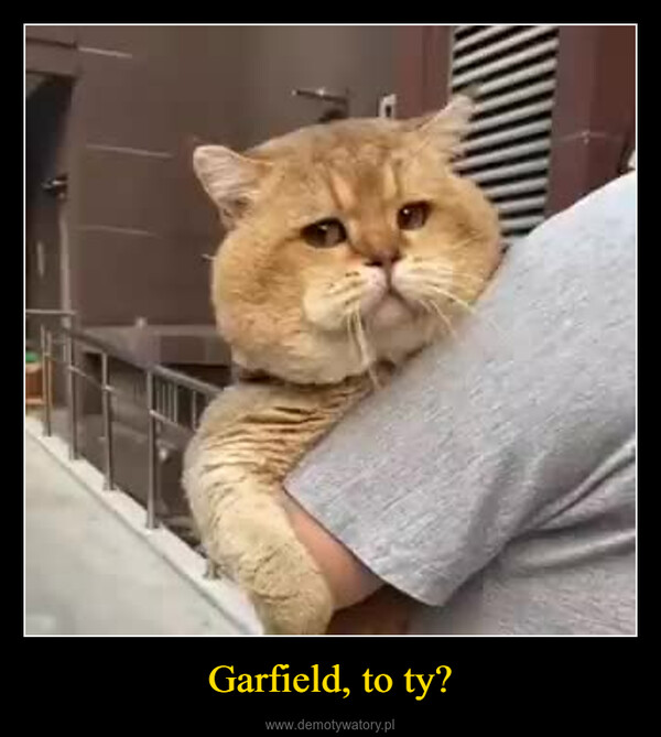 Garfield, to ty? –  