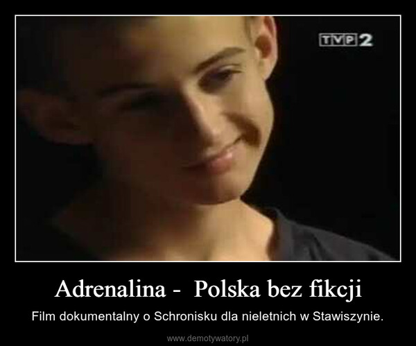 Adrenalina -  Polska bez fikcji – Film dokumentalny o Schronisku dla nieletnich w Stawiszynie. 
