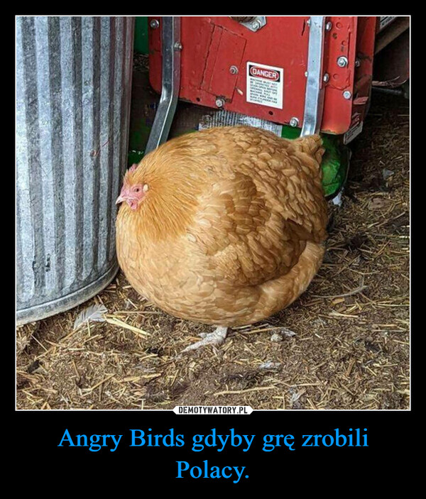 Angry Birds gdyby grę zrobili Polacy. –  DANGER