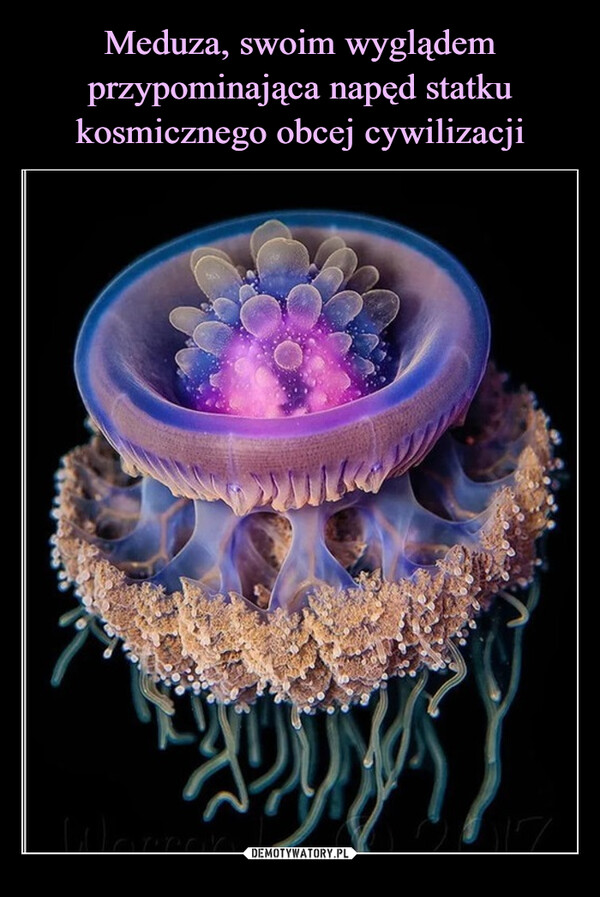 Meduza, swoim wyglądem przypominająca napęd statku kosmicznego obcej cywilizacji