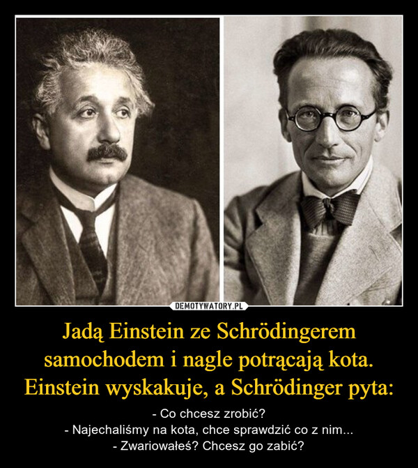 Jadą Einstein ze Schrödingerem samochodem i nagle potrącają kota. Einstein wyskakuje, a Schrödinger pyta: