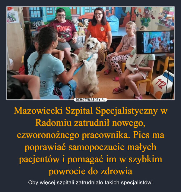 Mazowiecki Szpital Specjalistyczny w Radomiu zatrudnił nowego, czworonożnego pracownika. Pies ma poprawiać samopoczucie małych pacjentów i pomagać im w szybkim powrocie do zdrowia