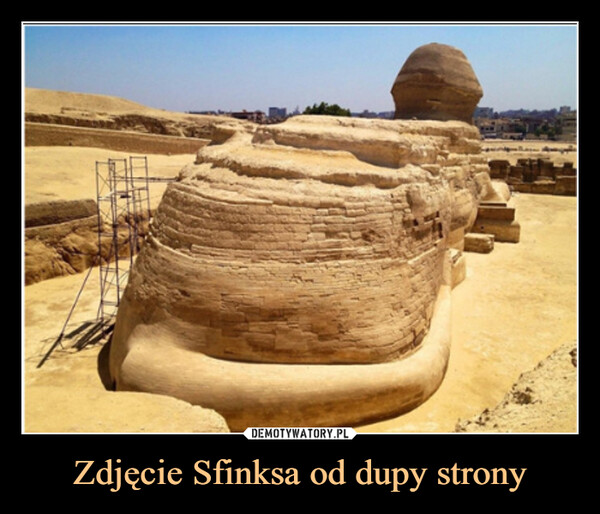 Zdjęcie Sfinksa od dupy strony