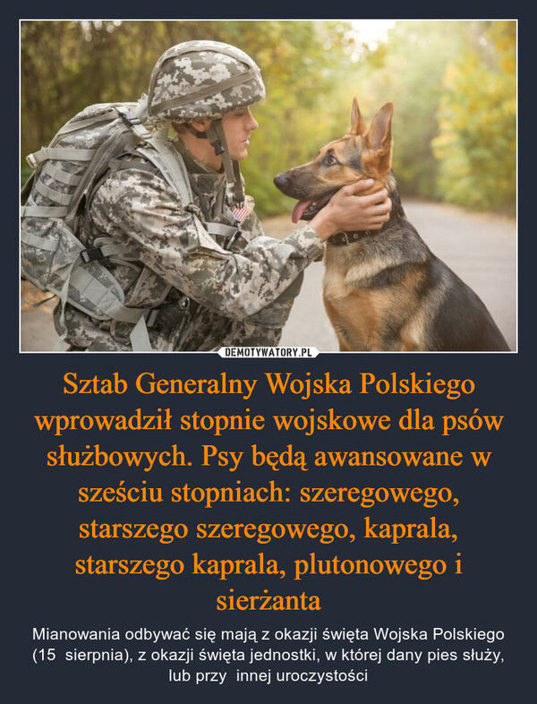 Sztab Generalny Wojska Polskiego wprowadził stopnie wojskowe dla psów służbowych. Psy będą awansowane w sześciu stopniach: szeregowego, starszego szeregowego, kaprala, starszego kaprala, plutonowego i sierżanta – Mianowania odbywać się mają z okazji święta Wojska Polskiego (15  sierpnia), z okazji święta jednostki, w której dany pies służy, lub przy  innej uroczystości 