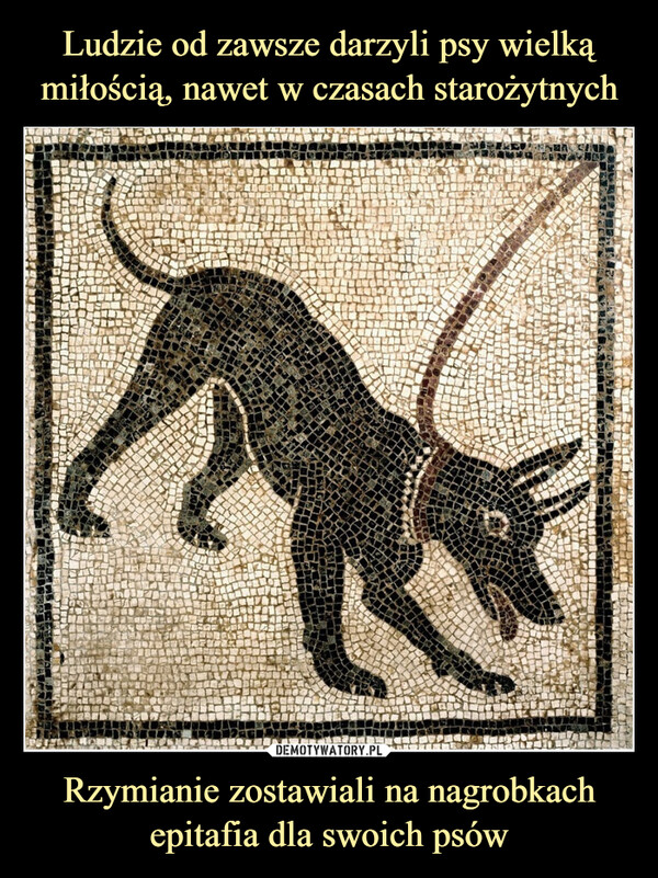 Ludzie od zawsze darzyli psy wielką miłością, nawet w czasach starożytnych Rzymianie zostawiali na nagrobkach epitafia dla swoich psów