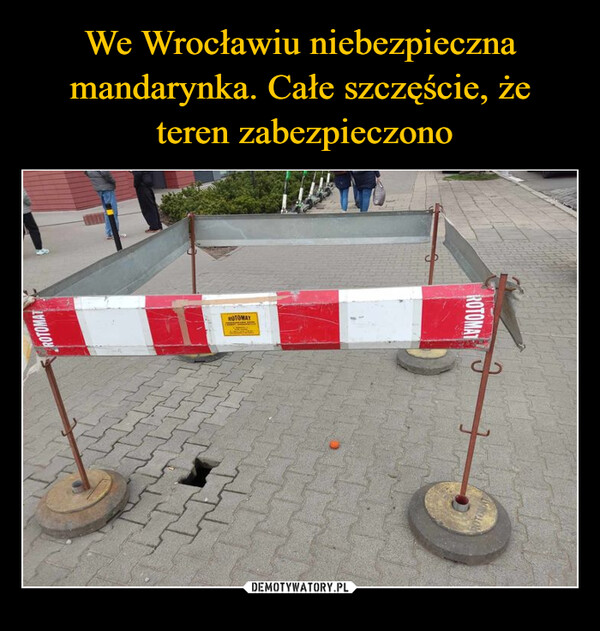 We Wrocławiu niebezpieczna mandarynka. Całe szczęście, że
 teren zabezpieczono