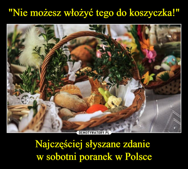 Najczęściej słyszane zdanie w sobotni poranek w Polsce –  
